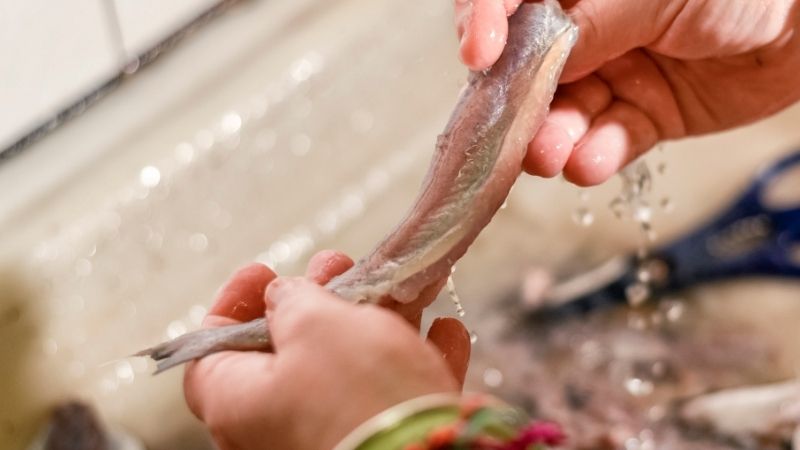 Balıkların İçini Temizlemek  